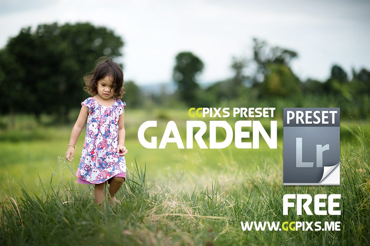 แจกฟรี Preset Lightroom Download Free | Graden tone